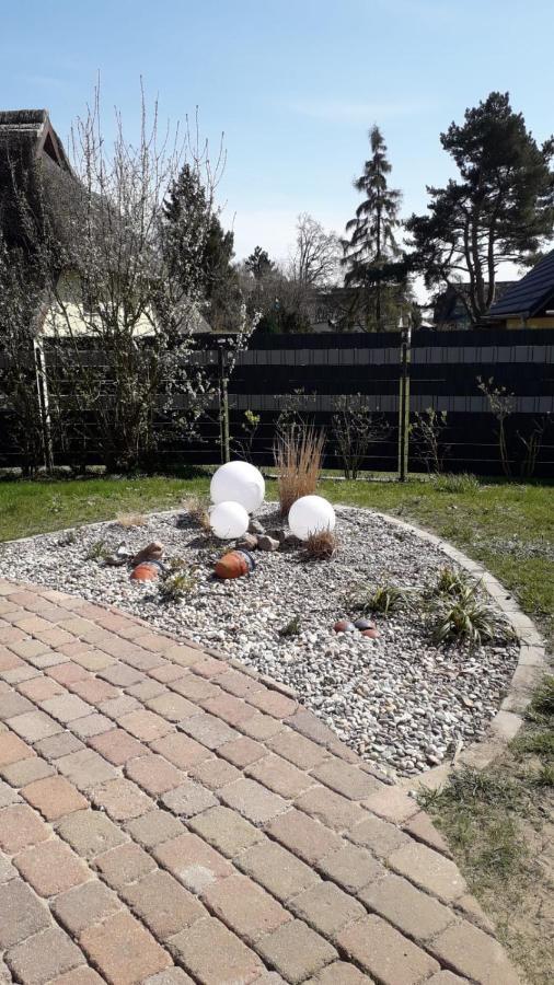 Ferienwohnung Born Am Darsswald Eg Zewnętrze zdjęcie